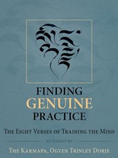 FINDING GENUINE PRAC