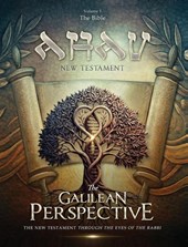 AHAV NEW TESTAMENT Volume 1