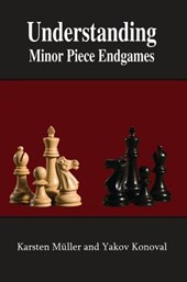 UNDERSTANDING MINOR PIECE ENDG