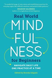 Real World Mindfulness for Beginners