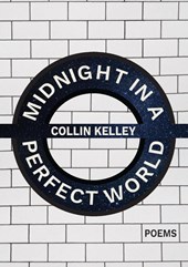Midnight in a Perfect World