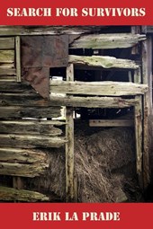 Search for Survivors