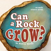Can a Rock Grow?