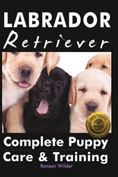 Labrador Retriever: Complete Puppy Care & Training