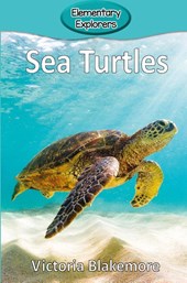Sea Turtles