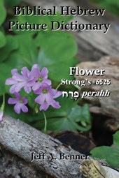 Biblical Hebrew Picture Dictionary