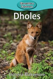 Dholes