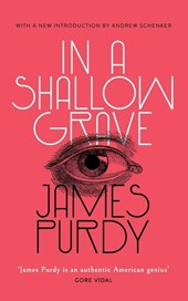 In a Shallow Grave (Valancourt 20th Century Classics)