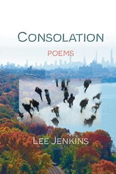 Consolation; Poems