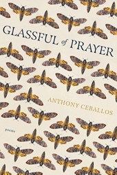 Ceballos, A: Glassful of Prayer