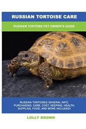 Russian Tortoise Care