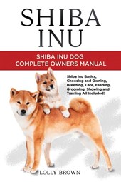 Shiba Inu