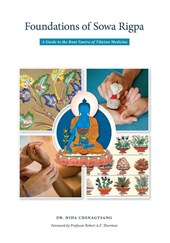 Foundations of Sowa Rigpa