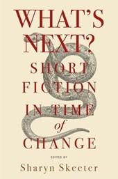 What's Next? Short Fiction in Time of Change