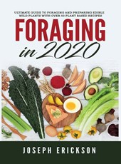 Foraging in 2020