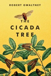 The Cicada Tree