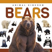 Bears