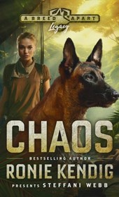 Chaos