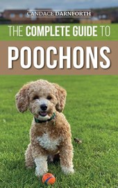 The Complete Guide to Poochons