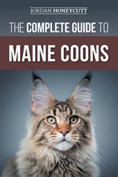 The Complete Guide to Maine Coons
