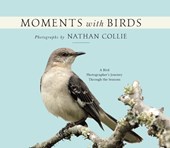 MOMENTS W/BIRDS
