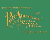 Pan-American Buffalo and Niagara Falls: A Picturesque Souvenir