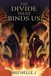 The Divide that Binds Us