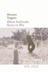 What Solitude Sees in Me