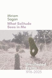 What Solitude Sees in Me