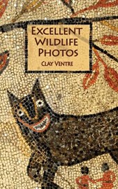 Excellent Wildlife Photos