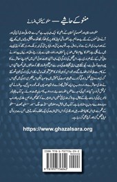 Manto Ke Hashiye (Urdu Edition)