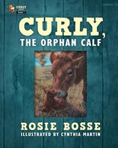 Curly, the Orphan Calf