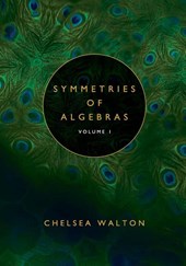 Symmetries of Algebras (Volume 1)