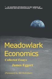 Meadowlark Economics
