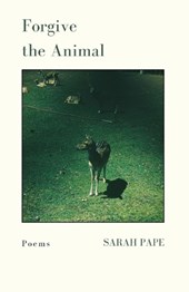 Forgive the Animal