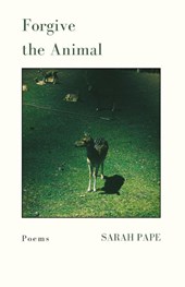 Forgive the Animal