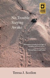No Trouble Staying Awake