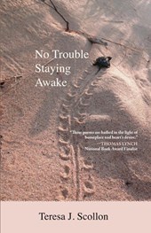 No Trouble Staying Awake