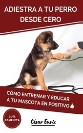 Adiestra a tu Perro Desde Cero