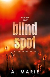 Blind Spot Discreet Cover
