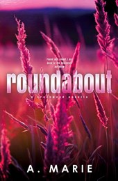 Roundabout Discreet Cover