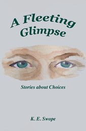 A Fleeting Glimpse