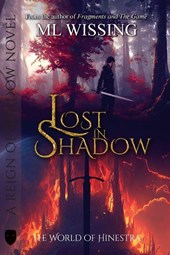 Lost in Shadow