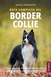 Guía Completa del Border Collie