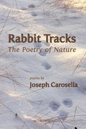 Rabbit Tracks