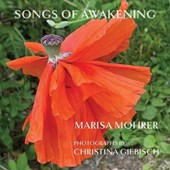 Mohrer, M: Songs of Awakening