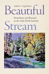 Beautiful Stream
