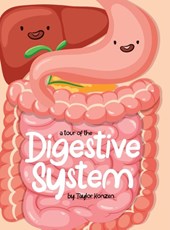 A Tour Of The Digestive System