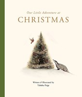 Our Little Adventure at Christmas