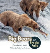 Big Bears at Brooks Falls